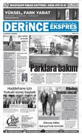 DERİNCE EKSPRES