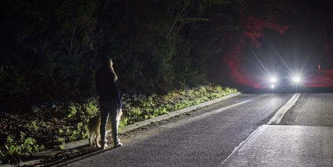 Ford, karanlık yollarda canlıları algılayan yeni aydınlatma teknolojisini tanıttı
