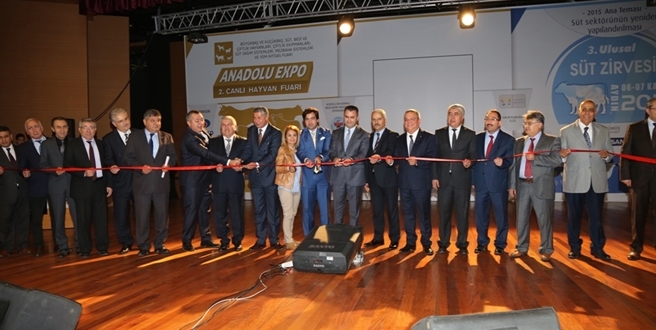 Hayvancılık Fuarı’nda Mutlu danalar görücüye çıktı