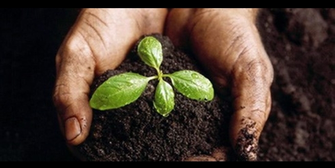 TORA,TOPRAK KİRLİLİĞİNİN KONTROLÜ VE NOKTASAL KAYNAKLI KİRLENMİŞ SAHALARA DAİR  YETERLİLİK BELGESİ’Nİ ALDI.