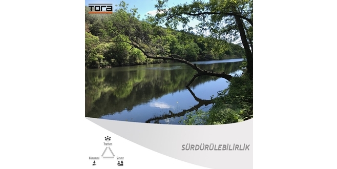 SÜRDÜRÜLEBİLİRLİK AÇISINDAN SIR