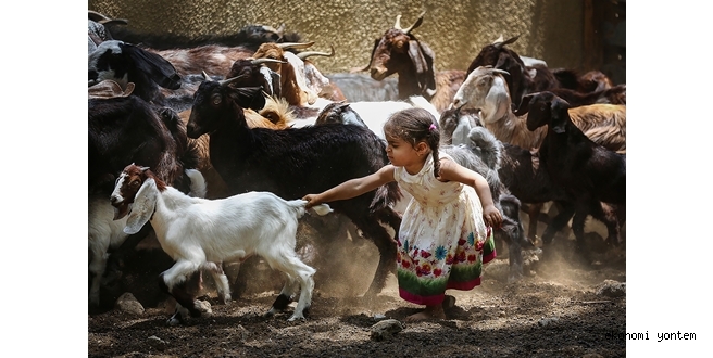 Türk Hava Yolları 2. Uluslararası Skylife Fotoğraf Yarışması Başlıyor!