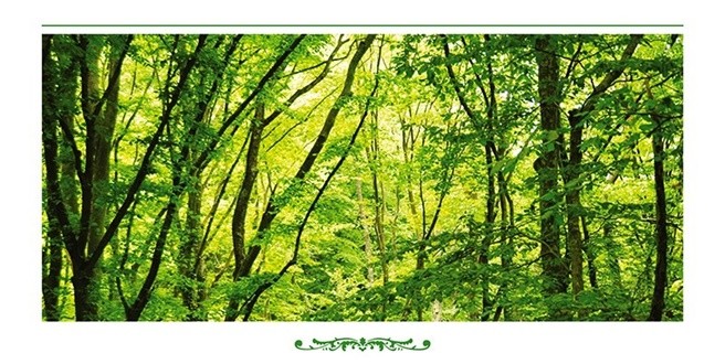 BP’ den Çevreye Duyarlı Katkı