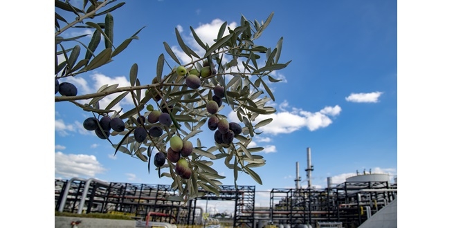 Tüpraş, BiZeolCat Horizon2020 Projesi ile  Petrol Endüstrisine Katkıda Bulunuyor