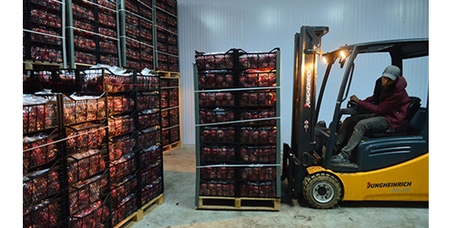 Corona Virüsü Salgını ve Lojistik Depolama Piyasasına Etkileri