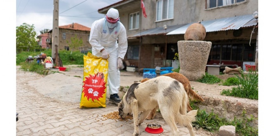 Türkiye Petrolleri’nden Sokak Hayvanlarına Mama Desteği