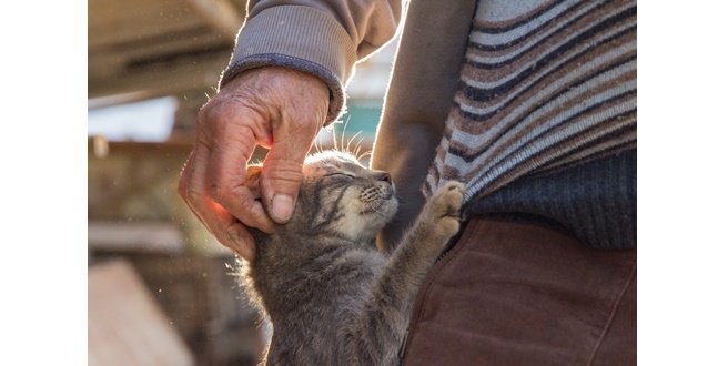 HEKTAŞ, M Oil İstasyon ziyaretçilerinin can dostlarına destek oluyor