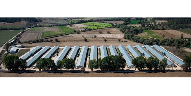 Emre Piliç&Garanti Tavukçuluk ve Orallar Zirai ile Turpak iş birliği artarak devam ediyor.