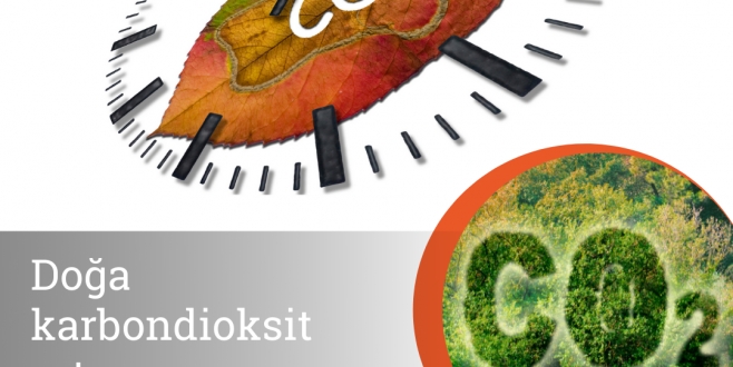 Doğa Karbondioksit Artışını Yavaşlatmaya Çalışıyor!