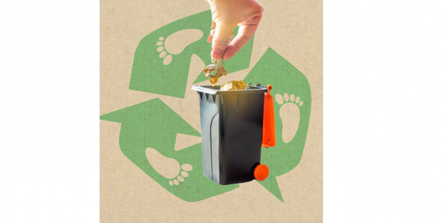 TORA: Karbon ayak izinin ne olduğunu gerçekten anlıyor muyuz?