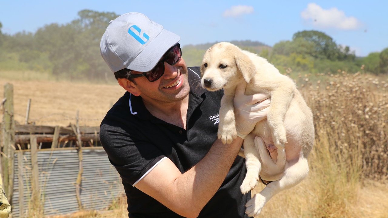 Ekol Lojistik Doğayı Koruma Projesi İle 9 Milyon Can Dostuna Ulaştı