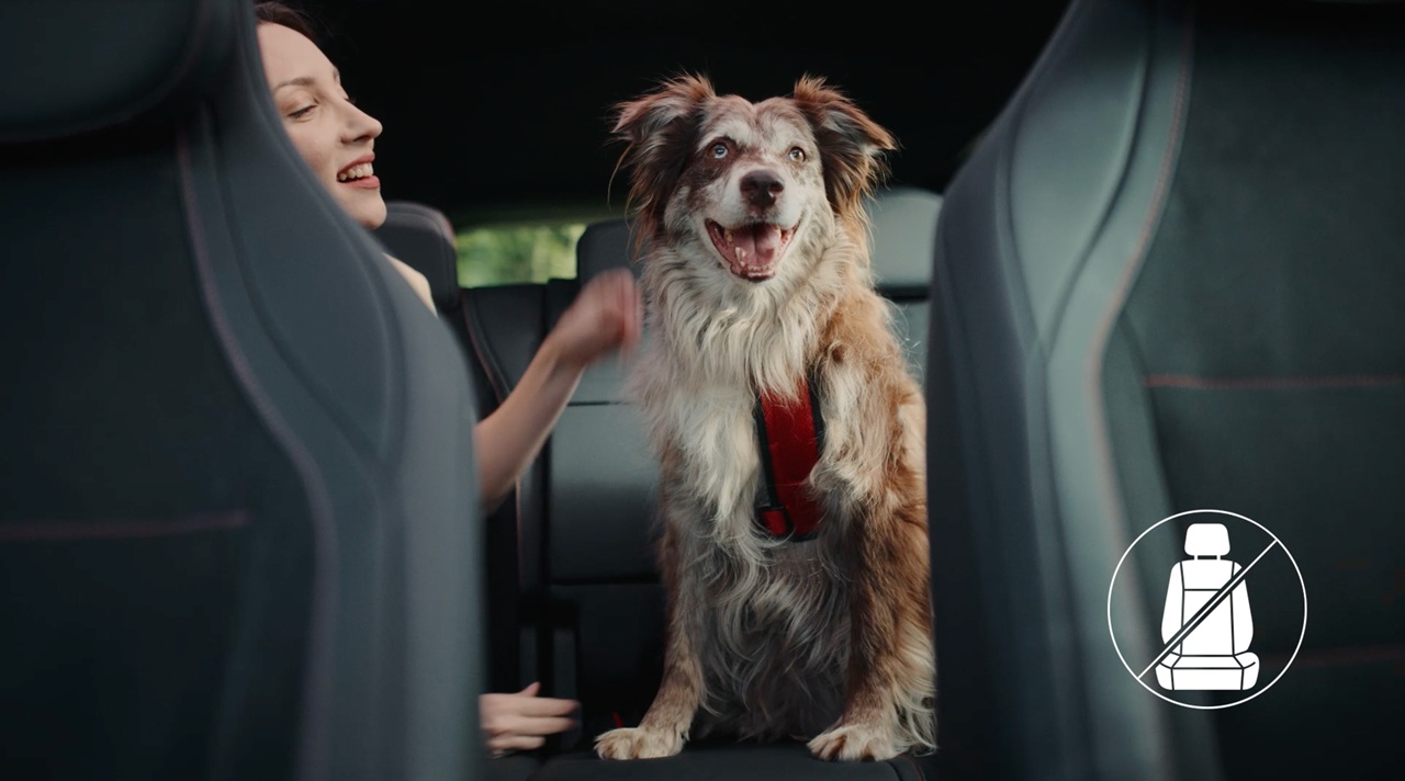 Mercedes-Benz Türkiye ve HAÇİKO’dan Köpeklere Özel Güvenli Yolculuk Filmi: “İlk Yolculuk”